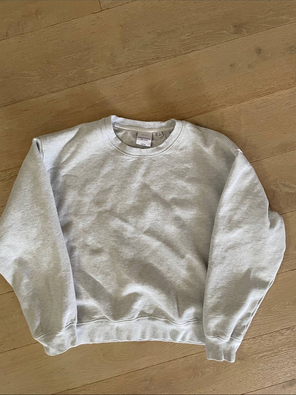 Aritzia Crewneck Sweatshirt - Light Heather Gray